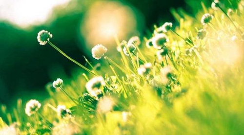 520告白視頻制作 520告白視頻制作