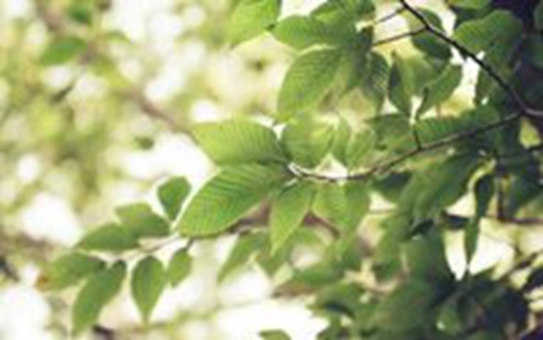 微信個(gè)性簽名勵(lì)志大全 微信個(gè)性簽名勵(lì)志大全